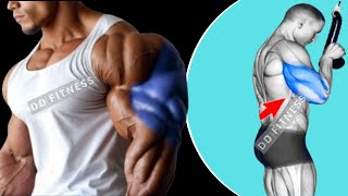 How To Do Triceps Workout At Gym For Begginers [upl. by Eward]