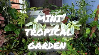 CREATING A TROPICAL GARDEN🍀🌿 garden gardening [upl. by Razid]