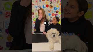 Candy thats dog food 🤔 shorts short youtubeshorts youtubeshort funny fyp viralvideo viral [upl. by Rochelle477]