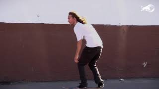 Bryan Herman  Emerica Made Chapter 2  2016 [upl. by Shifrah773]