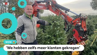 Duizenden vernielde kerstbomen toch verkocht [upl. by Eeladnerb103]