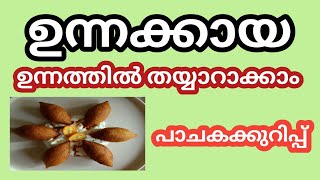 ഉന്നക്കായ എങ്ങനെ ഉണ്ടാക്കാം malayalam eveningsnacks [upl. by Dedie329]