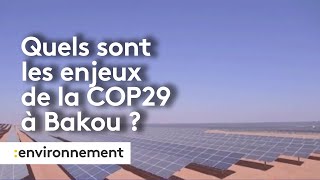 Les enjeux de la COP29 à Bakou [upl. by Haneeja459]