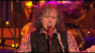 Donovan  Sunshine Superman Live at The Royal Albert Hall [upl. by Aeki293]