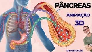 PÂNCREAS  3D  Animação  Estrutura e função Português [upl. by Ayin]