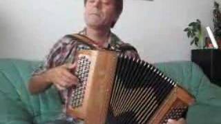 French Accordion [upl. by Ruprecht]