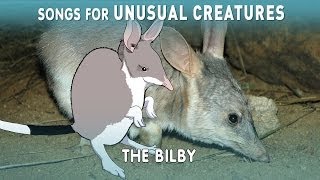 The Easter Bilby  Unusual Creatures  PBS Digital Studios [upl. by Atla]