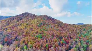 Fall Foliage of Blue Ridge 2024 [upl. by Jb]