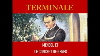 Mendel et le concept de gène [upl. by Nnadroj]