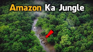 Most Dangerous Animals Of Amazon Rainforest  Strange Facts About Amazon Rainforest HindiUrdu [upl. by Nediarb]