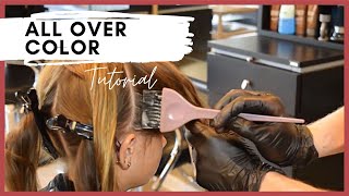 All Over Hair Color – Single Process Color Application With a Bowl and Brush [upl. by Enautna]