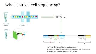 Singlecell sequencing explained in 2 minutes [upl. by Lockwood]