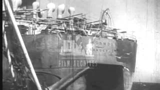 Harpoon whaling from Norwegian ship Archive film 91262 [upl. by Shornick]