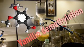 Protocatechuic aldehyde preparation by Vanillin demethylation [upl. by Ahsenek]