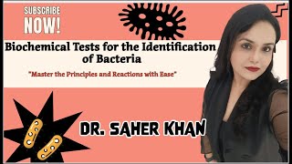 Biochemical Tests  IMViC  Microbiology  Indole  MR  VP  Citrate  BY Dr SAHER KHAN [upl. by Scever]