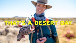 That’s a Desert Day Quail Hunting in New Mexico [upl. by Wald827]