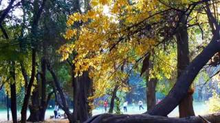 TONADA DE OTOÑO Mercedes Sosa Pocho Sosa Oscar Puebla guitarrawmv [upl. by Nannoc]