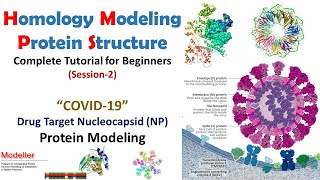 Homology Modeling for Beginners  COVID19 NP Protein Modeling Session2  Bioinformatics [upl. by Eityak]