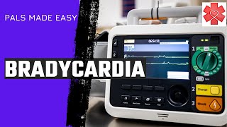 Pediatric Advanced Life Support PALS Bradycardia Algorithm [upl. by Enrobyalc609]