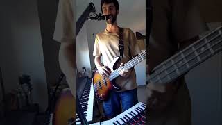 Sin Vergüenza  Dani Fernández ft Arde Bogotá bass looper cover [upl. by Arriek]