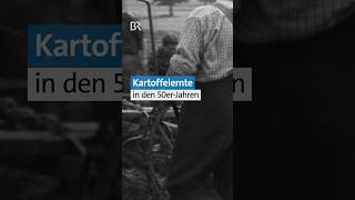 🥔Habt ihr schon mal Kartoffeln geerntet  50erJahre retro kartoffel landwirtschaft ernte  BR [upl. by Essilem]