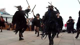 Beltane Border Morris  Huntress  Teignmouth Folk Festival  23 Jun 24 [upl. by Graaf756]