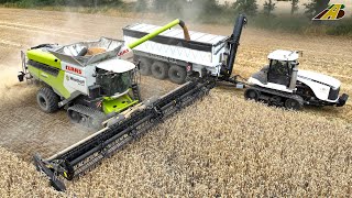 Getreideernte 2023 Triticale dreschen Mähdrescher CLAAS Traktor Raupe Lohnunternehmer Landwirtschaft [upl. by Hadeis]