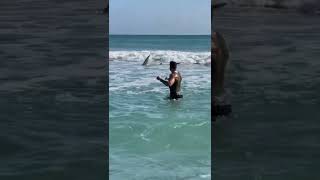 😱12 foot shark😱 fishing fish longisland florida sharkfishing shark sharks newyork beach [upl. by Ynnavoig]