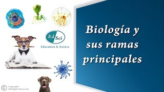 🆕🔝✳️ La Biología y sus ramas principales 🧫🦠🧬🌎☘️🐳🦀🐼 [upl. by Frydman723]