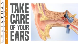 Caring for Your Ears When You Dive  Sound Advice About Ear Care [upl. by Linet]