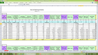 Refining Company Cash Flow Model [upl. by Moreta]