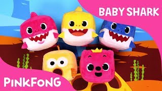 CUBE Baby Sharks  Pinkfong Cube  Animal Songs  Pinkfong Songs for Children [upl. by Ahsikyw]