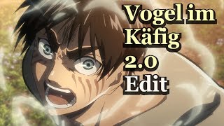 Attack on Titan S2 Finale  YouSeeBIGGIRL Edit Vogel im Kafig 20 [upl. by Nerti]