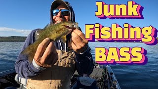 I went JUNK Fishing The BEST Catch for Cold Water BASS [upl. by Jobye272]