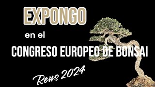 Expongo en el Congreso Europeo del Bonsai European bonsai convention [upl. by Nitin93]