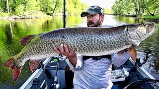 MY BIGGEST MUSKY EVER  Northern Wisconsin Opener Giant Muskie [upl. by Yelsa611]