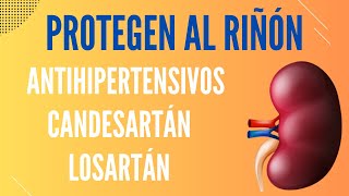 Losartán candesartán y otros antihipertensivos protegen el riñón [upl. by Waller]