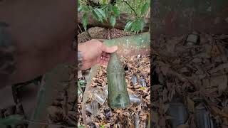 Rare coke an antique bottles found [upl. by Rim94]