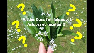 Lail des ours jen fais quoi  Recettes et astuces [upl. by Elleimac]