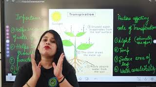 What is Transpiration  science transpiration AnshiClasses [upl. by Ynffit]