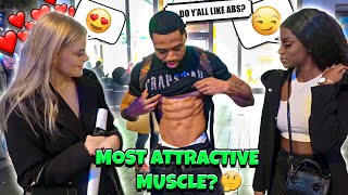 Asking Girls Whats The Most Attractive Muscle  Part 1 [upl. by Gove]