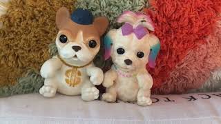 Little Live Pets OMG Pets Have Talent  2 Pack of Hilarious Singing Puppies Quick Review [upl. by Aicnarf]