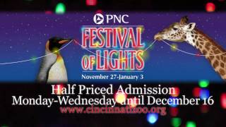 Festival of Lights PromoCincinnati Zoo [upl. by Eenat820]