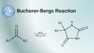 BuchererBergs Reaction Mechanism  Organic Chemistry [upl. by Imer]