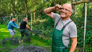 UDO UND SEIN PLAN Kann er den verwilderten Zaun bezwingen 🌿🛠️ [upl. by Tolman681]