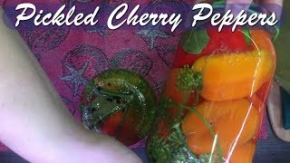 Pickled Cherry Peppers Recipe [upl. by Kissie183]