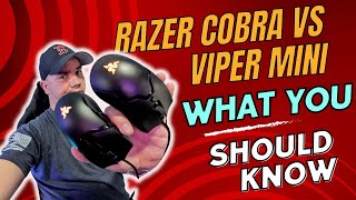 Razer Viper Mini Vs Razer Cobra  What To Know About This Confusing Release [upl. by Eisso]