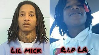 Should 051 Lil Mick get another chance 🤔 hes currently charged with k¡lling La Capone [upl. by Ahtan]