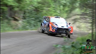 WRC Secto Rally Finland 2023  AMAZING FLAT OUT [upl. by Eellac]