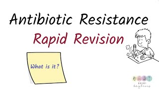 Antibiotic resistance 2024Biology Bugbears Rapid Revision [upl. by Nnaytsirk]